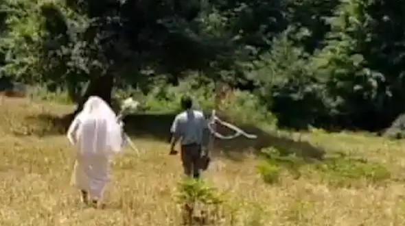 فیلم عروس و داماد دوچرخه سوار غوغا کرد 