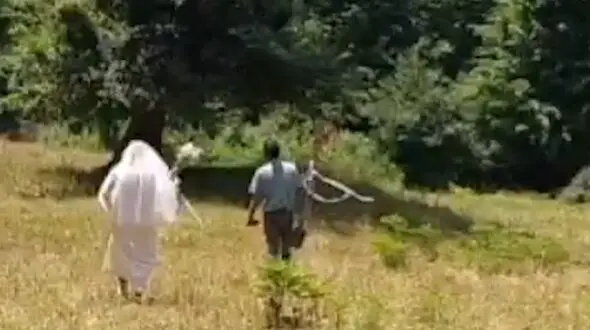 فیلم عروس و داماد دوچرخه سوار غوغا کرد 
