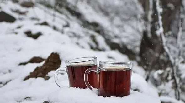 فال و طالع بینی امروز 6 تیر ماه 1405