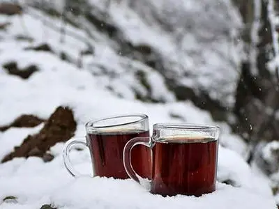 فال و طالع بینی امروز 6 تیر ماه 1405