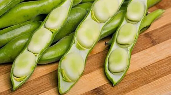 خواص باقلا برای پوست و مو / عوارض باقلا + طرز مصرف باقلا