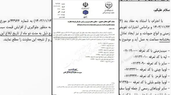 ممنوعیت صادرات سیب زمینی به مدت ۲ ماه + تصویر