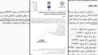 ممنوعیت صادرات سیب زمینی به مدت ۲ ماه + تصویر