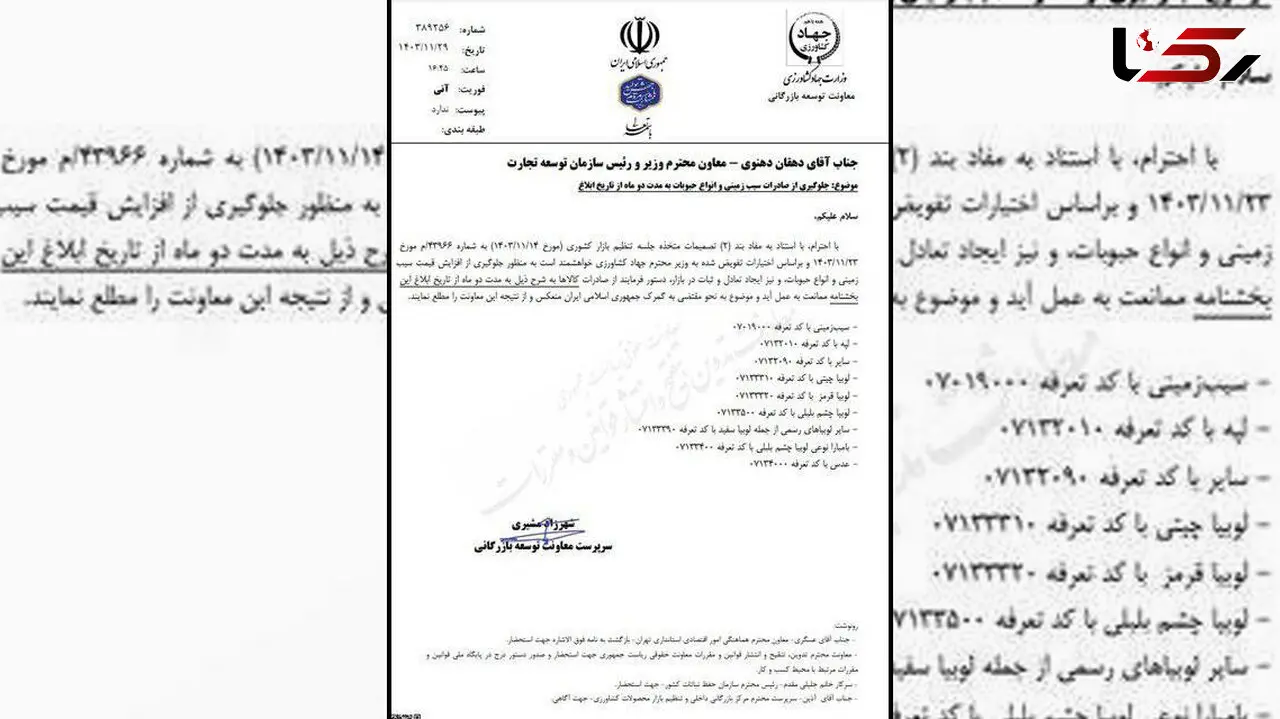 ممنوعیت صادرات سیب زمینی به مدت ۲ ماه + تصویر