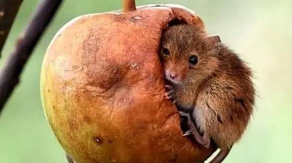 فال و طالع بینی امروز 20 آبان + فیلم 