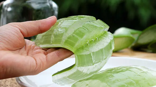 بهترین دمنوش برای زخم معده / درمان خانگی زخم معده 
