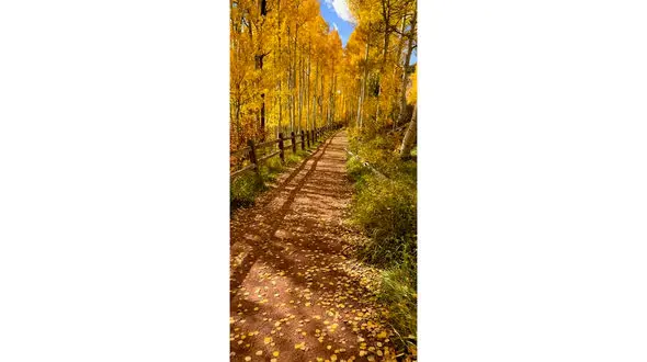 فال و طالع بینی امروز 28 آذر 