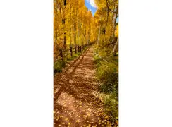 فال و طالع بینی امروز 28 آذر 