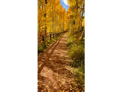 فال و طالع بینی امروز 28 آذر 