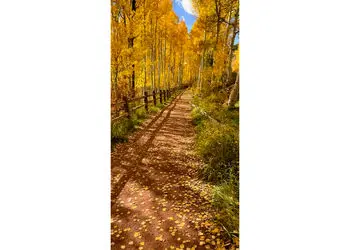 فال و طالع بینی امروز 28 آذر 