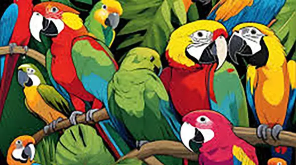 روز جهانی طوطی / هوش یک بچه 5 ساله برای طوطی + فیلم