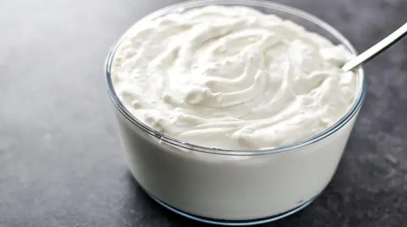 اثر ماست موسیر بر بدن / از فواید تا مضرات