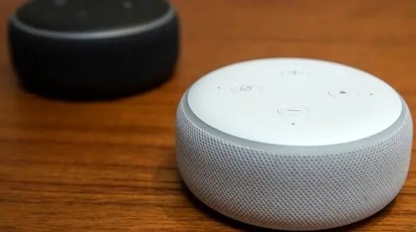 سوء استفاده عجیب دانش آموز 6 ساله از بلندگوهای هوشمند/فرار از مشق شب او را خلاق کرد