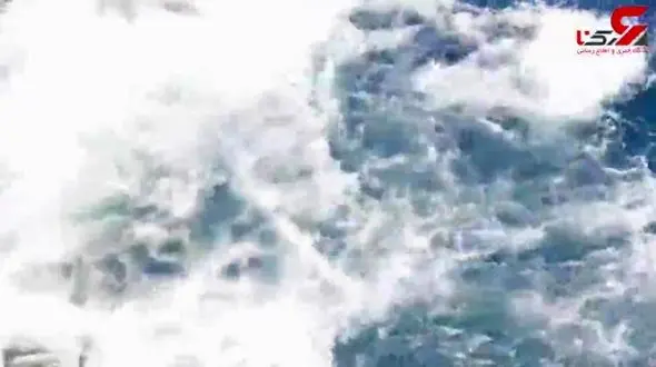 جدال یک غواص با کوسه عصبانی که قفس فلزی را شکست! +فیلم