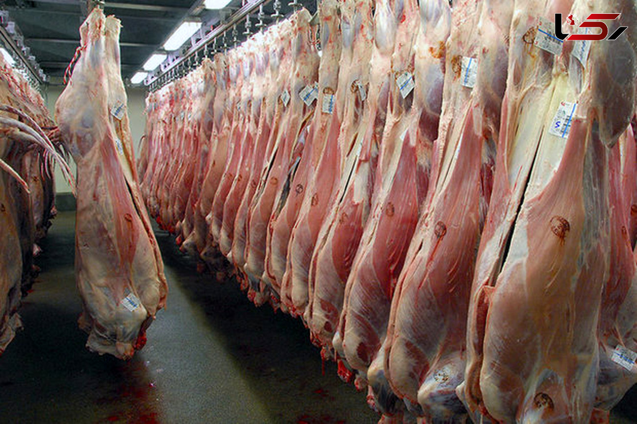 روزانه ۱۰۰ تن گوشت قرمز وارد می‌شود / عرضه در فروشگاهها و میادین