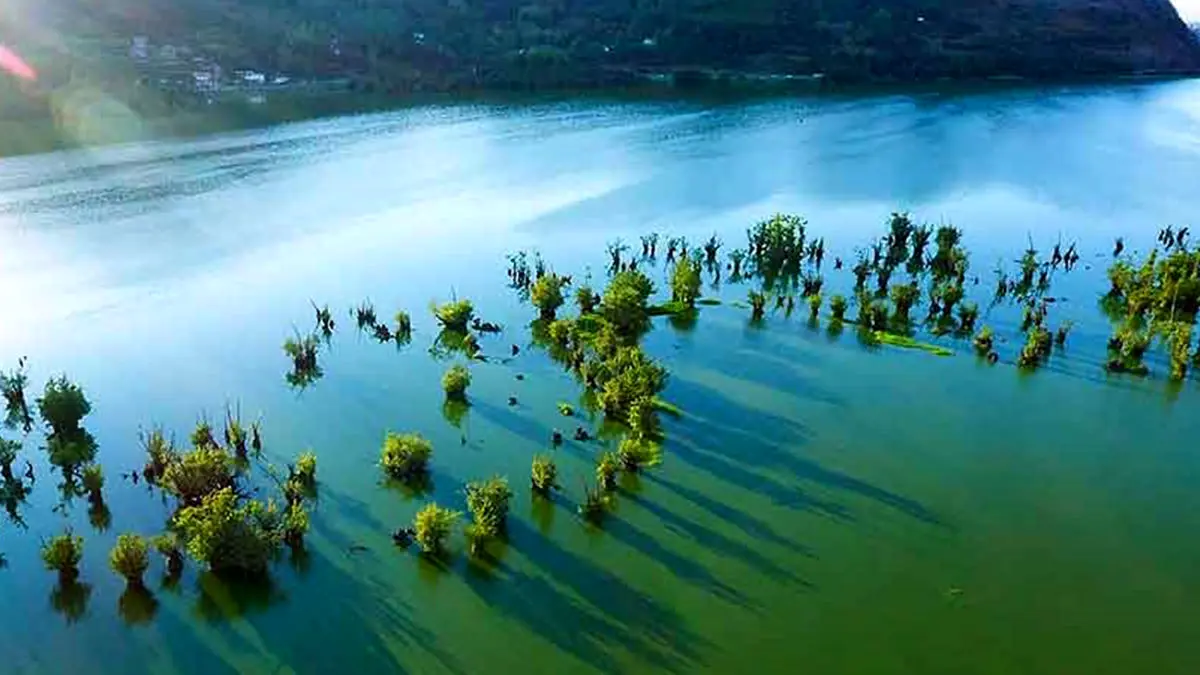 تالاب استیل / آینه سبز آستارا