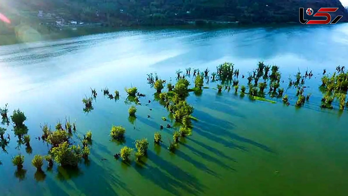 تالاب استیل / آینه سبز آستارا + فیلم