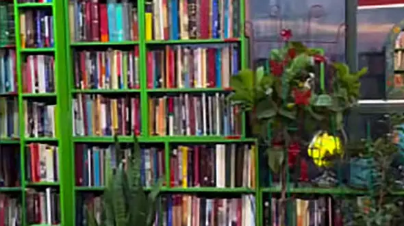 در این کتابخانه به سادگی کتاب به امانت بگیرید / این کتابخانه آقای ملک در ولنجک است + فیلم