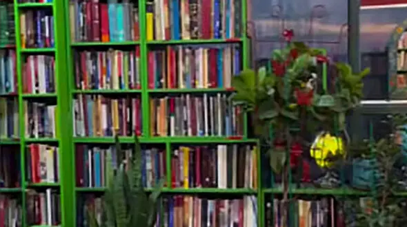 در این کتابخانه به سادگی کتاب به امانت بگیرید / این کتابخانه آقای ملک در ولنجک است + فیلم