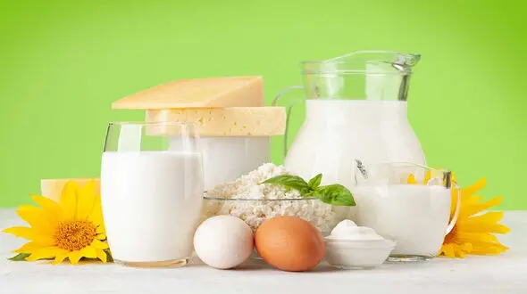 مزاج لبنیات چیست؟