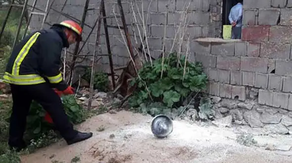  پیک نیک 7 نفر را به بیمارستان فرستاد