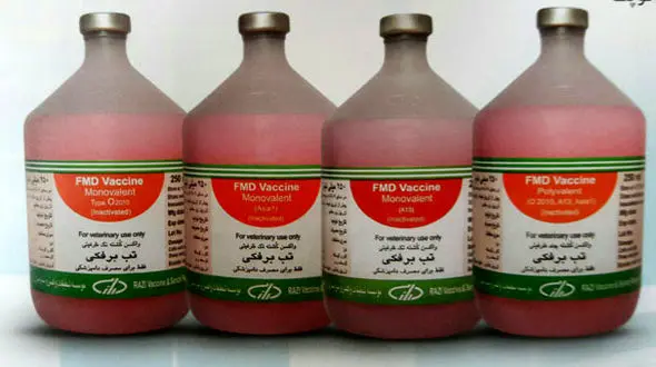 تولید ۲۶ میلیون دز واکسن تب برفکی در موسسه رازی