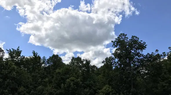  پیش بینی وضعیت دمای هوا در استان تهران