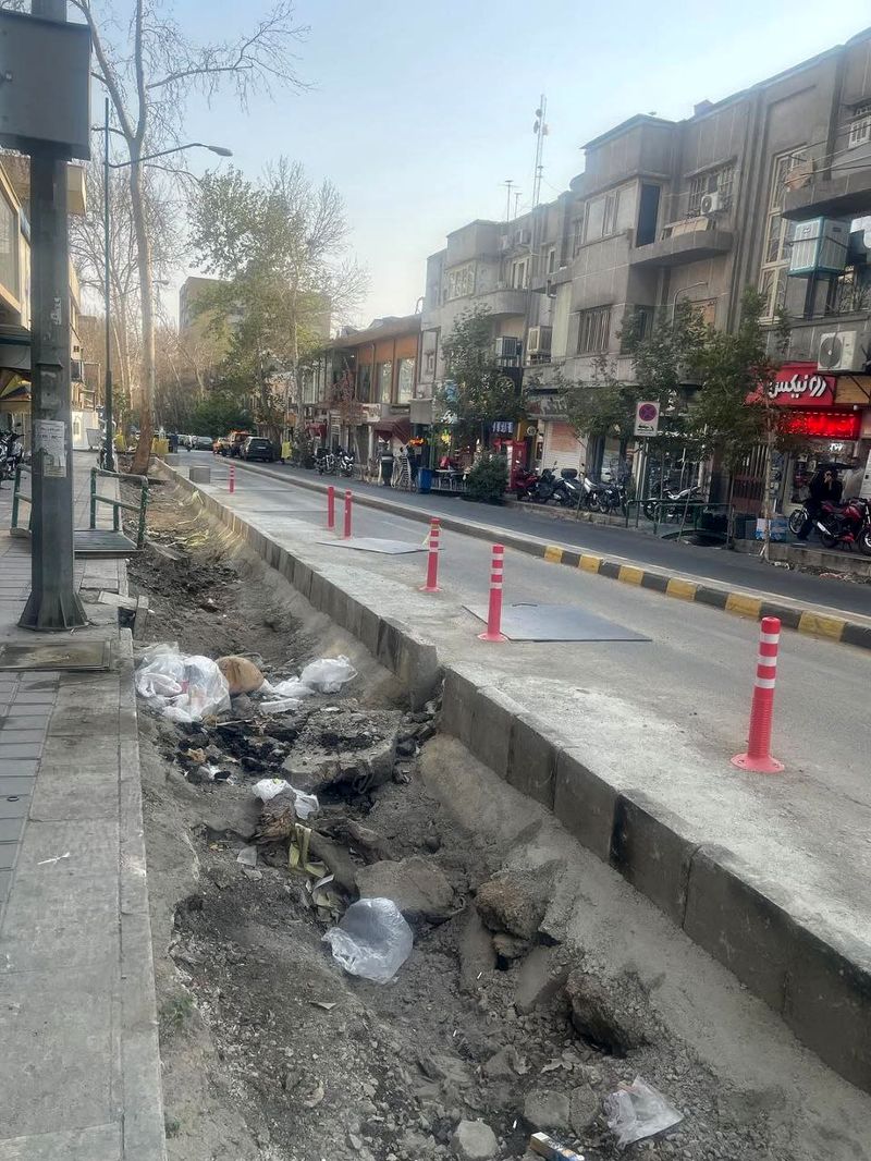 درخت قطع شده