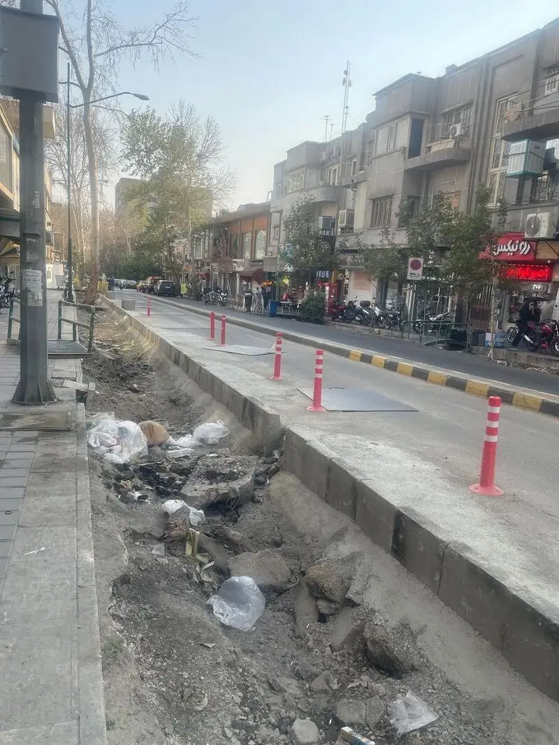 درخت قطع شده