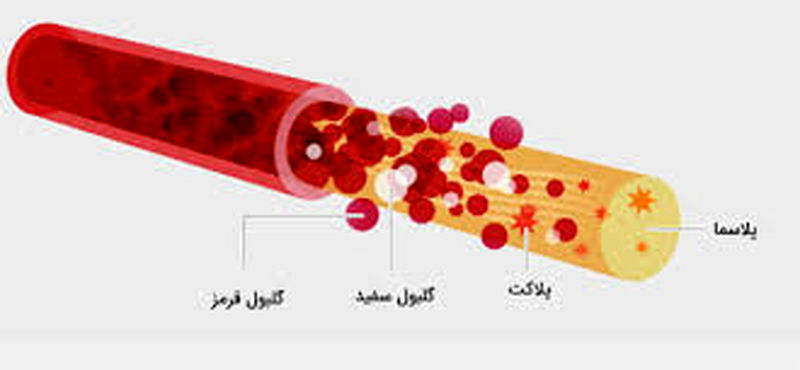 ساختار خون