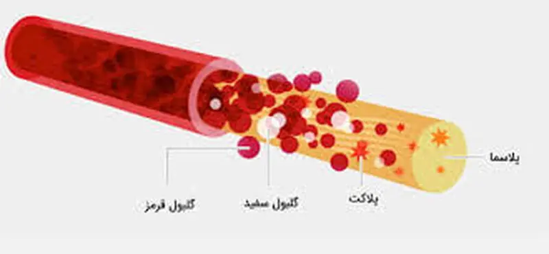 ساختار خون
