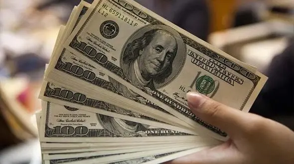 کشف ۱۲۰ هزار دلار قاچاق جاساز شده از مسافری در بندرعباس