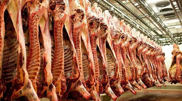معافیت گوشت و فرآورده های گوشتی و شمش طلا از مالیات و عوارض