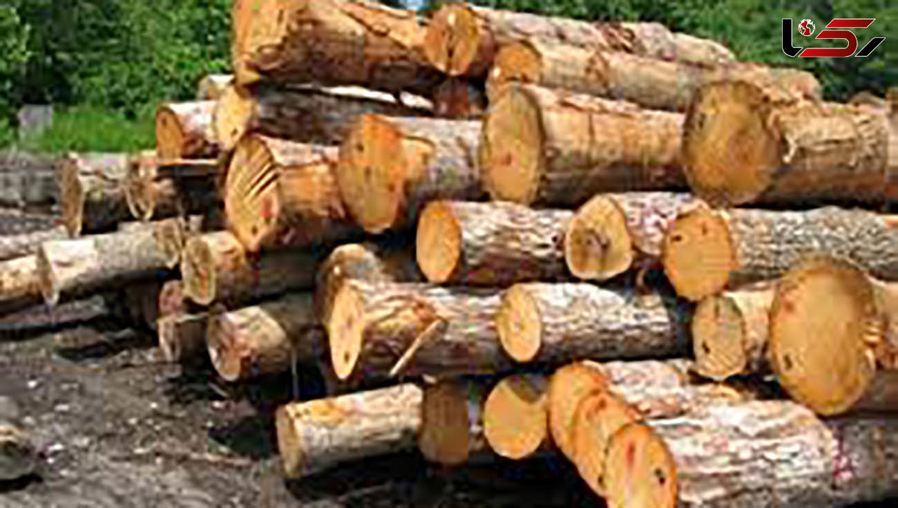 توقیف کامیون حامل ۵ تن چوب جنگلی قاچاق در الیگودرز