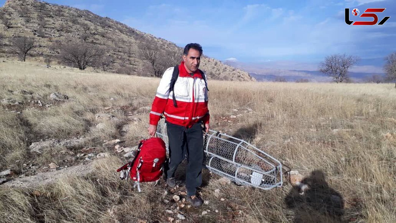  کوهنورد حادثه دیده  آباده ای از یک قدمی مرگ نجات یافت