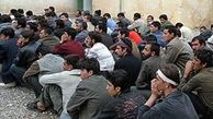953 تبعه خارجی غیر مجاز در استان قزوین شناسایی شد
