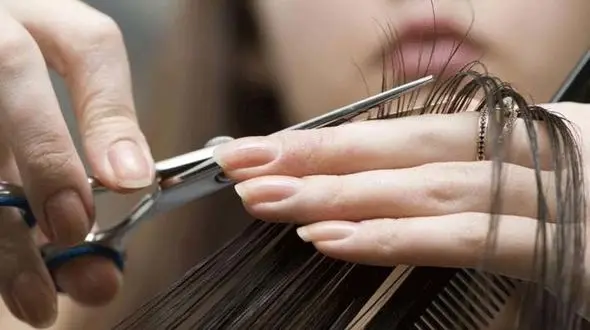 تاثیر حیرت آور روغن زیتون در درمان موخوره