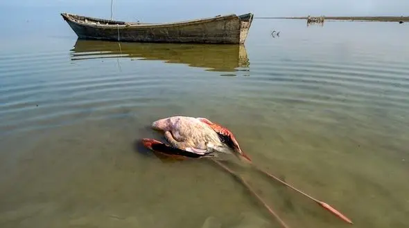 خشکسالی و آلودگی هوا ایران را به مرز فاجعه رسانده است/  سازمان محیط زیست در برابر کدام ارگان‌ها ایستادگی خواهد کرد؟