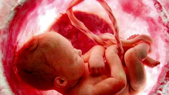 فرزندنیاوری به خاطر بی‌مسکنی