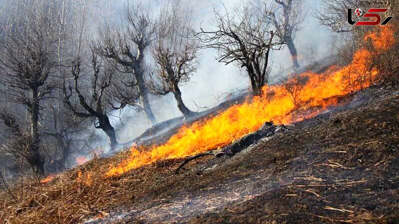 آتش‌سوزی اراضی جنگلی آستارا مهار شد