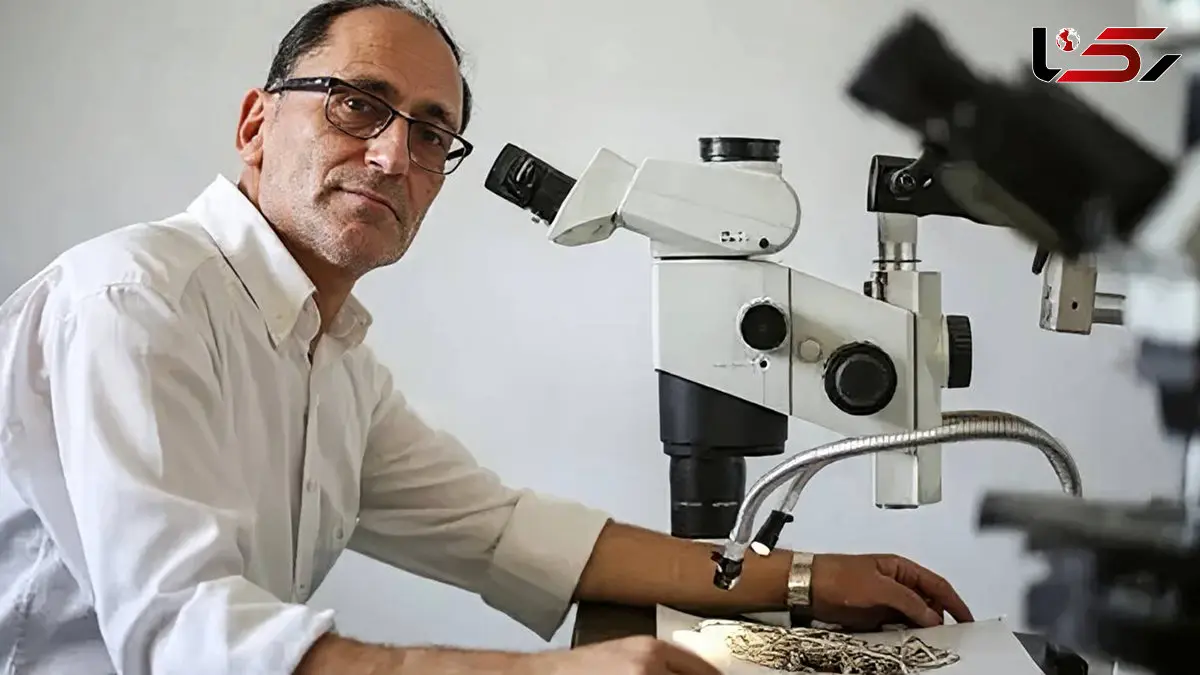 هزینه پژوهشی دانشجوی دکتری دانشگاه تهران فقط 2 تا 8 میلیون/ دانشجوی کارشناسی ارشد یک‌میلیون و ۸۰۰ هزار تا سه‌میلیون و ۶۰۰ هزار تومان ! + فیلم