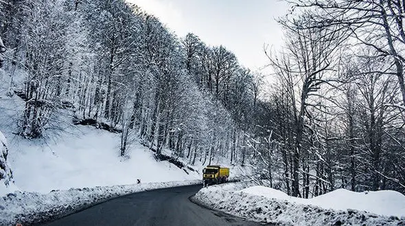 سیاهکل؛ دروازه سبز گیلان به دل جنگل‌های دنا + فیلم