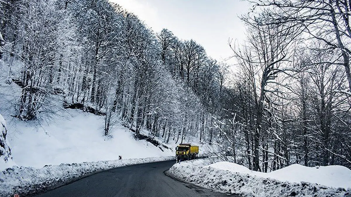 سیاهکل؛ دروازه سبز گیلان به دل جنگل‌های دنا