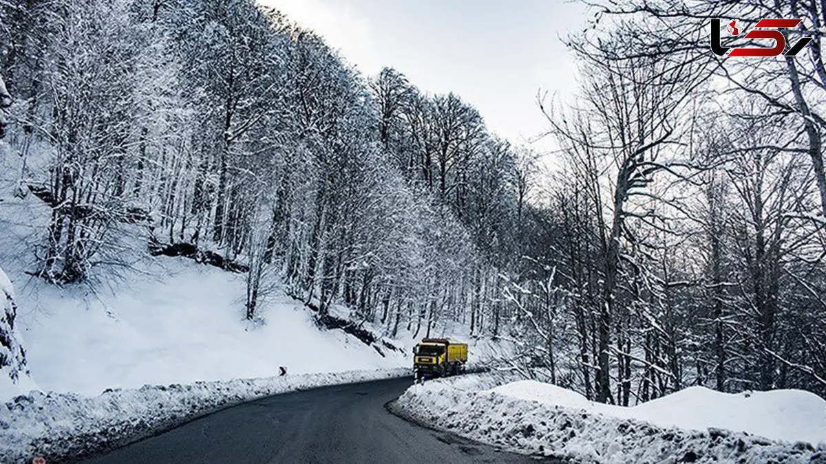 سیاهکل؛ دروازه سبز گیلان به دل جنگل‌های دنا + فیلم