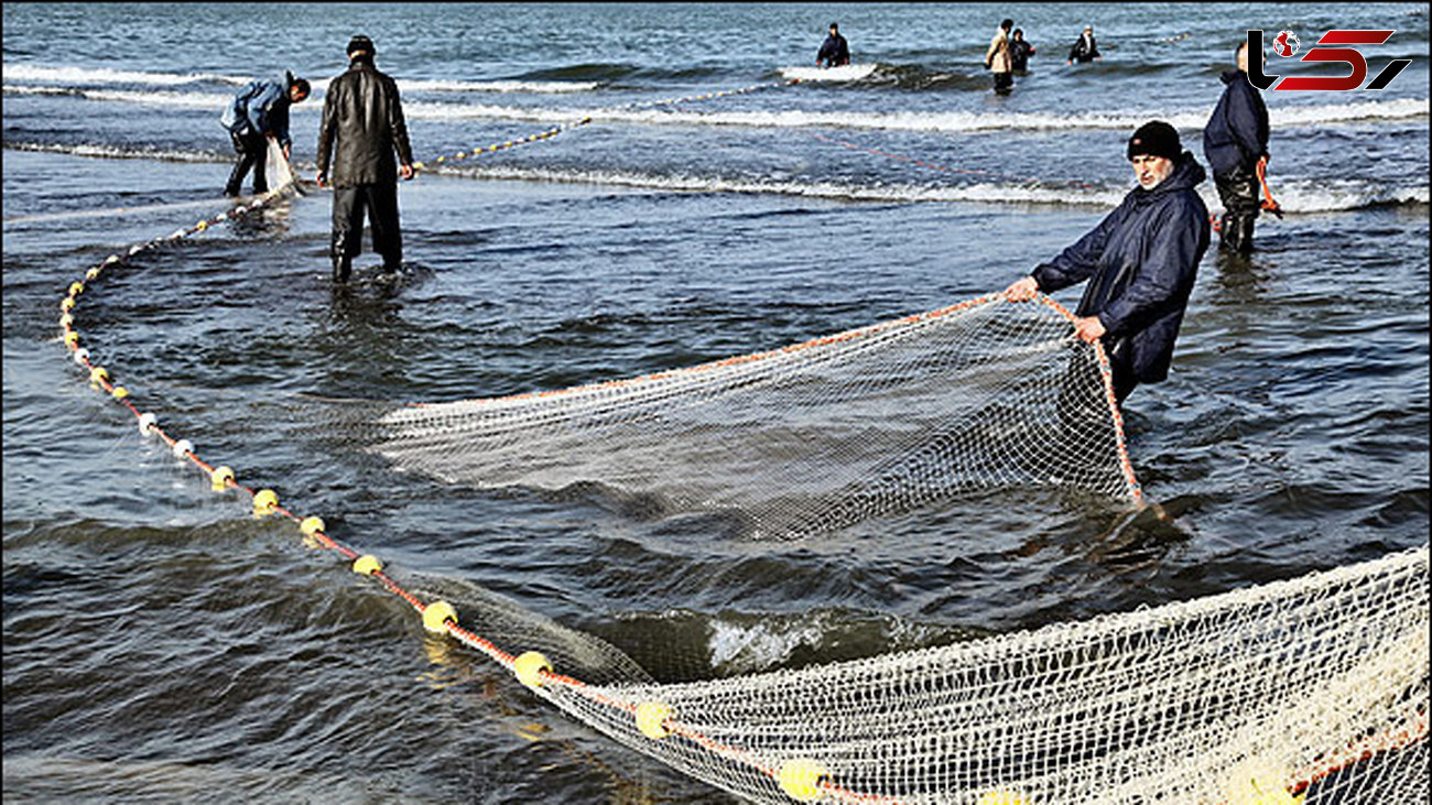  ممنوعیت صید ماهیان خاویاری تمدید می‌شود 