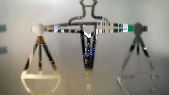 جنجال شهلا عبدی اولین زن محکوم به اعدام / او الان کجاست؟