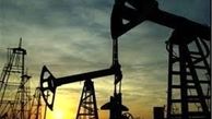 ایندین اویل: به صفر رساندن واردات نفت ایران توهم است
