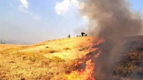 5 عامل آتش‌سوزی مزارع در ازنا شناسایی شدند+جزئیات 