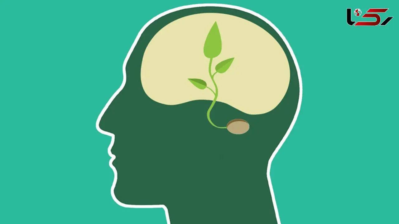 چگونه آرامش داشته باشیم و شاد زندگی کنیم ؟