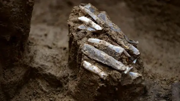 کشف ابزارهای سنگی انسان ماقبل تاریخ پس از 30 هزار سال!